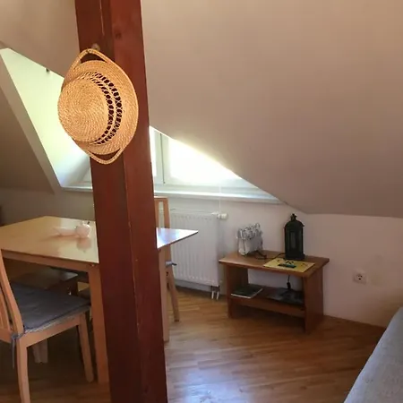 Apartments Otasevic Kranjska Gora Zewnętrze zdjęcie