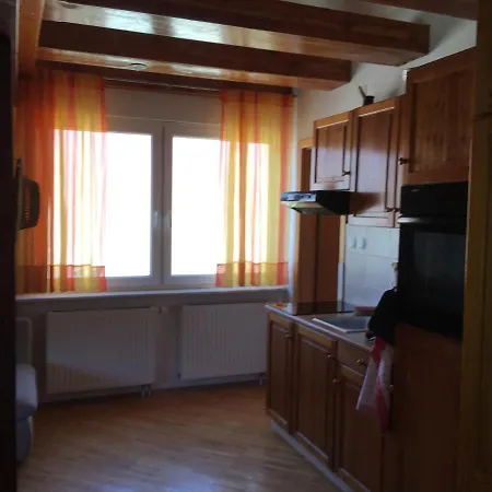 Apartments Otasevic Kranjska Gora Zewnętrze zdjęcie
