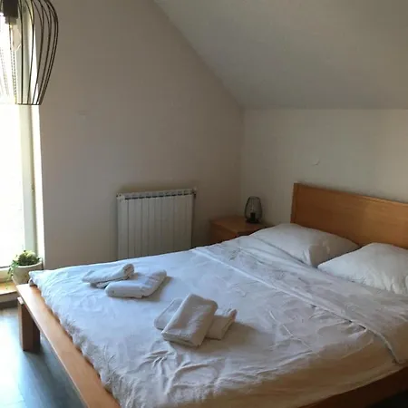 Apartments Otasevic Kranjska Gora Zewnętrze zdjęcie