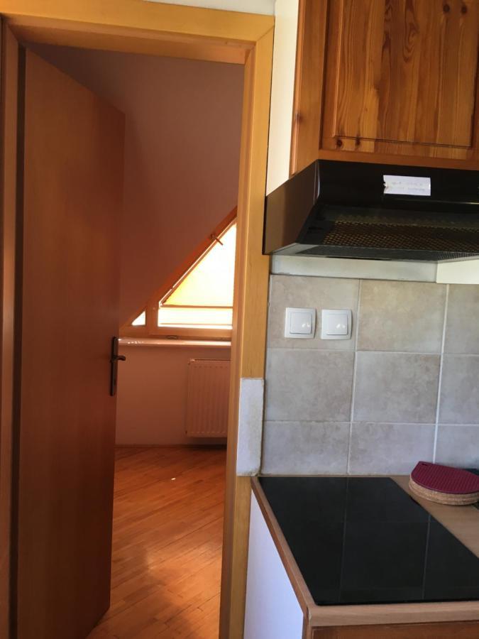 Apartment Otasevic