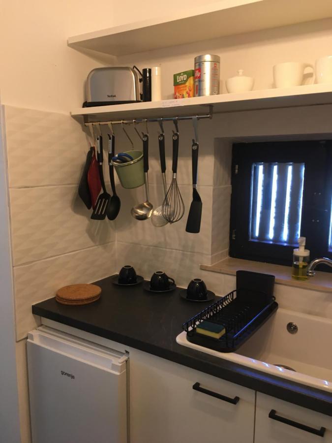 Apartment Otasevic *