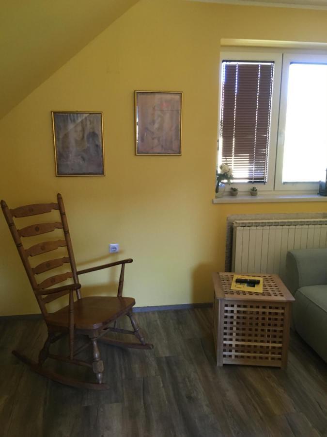 Otasevic Apartment